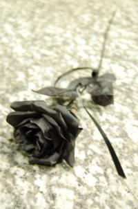 black rose