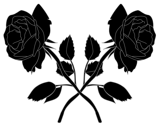 Black Roses