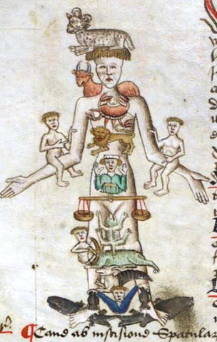 Medical Zodiac Man