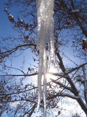 icicle2