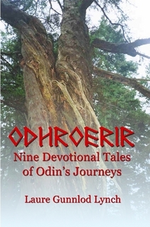 Odhrorir book cover