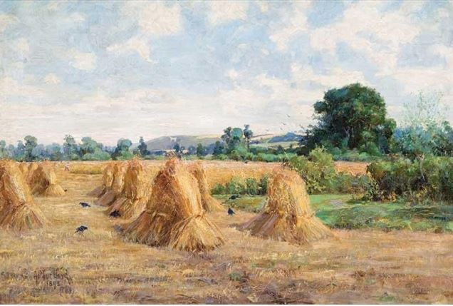 Wheatfield